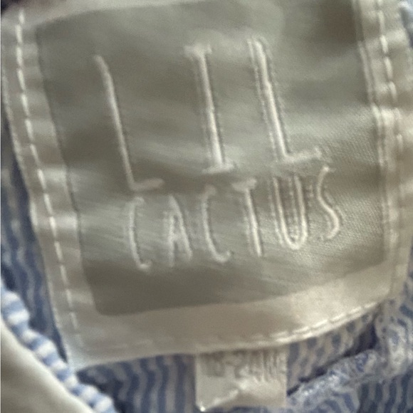 Lil’ Cactus Light Blue Seersucker Pumpkin Yoke Dress NWT.  18-24 months - Picture 6 of 6